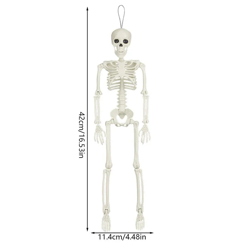 40cm Posable Halloween Skull Skeleton – Haunted House Decor Prop Halloween Skeleton Prop Babs A