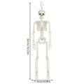 40cm Posable Halloween Skull Skeleton – Haunted House Decor Prop Halloween Skeleton Prop Babs A