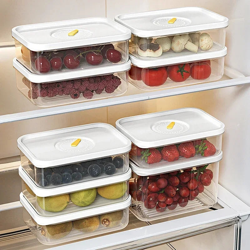 Lunch Meat & Cheese Keeper Container – Fridge Organizer Box Food Storage Container Babs