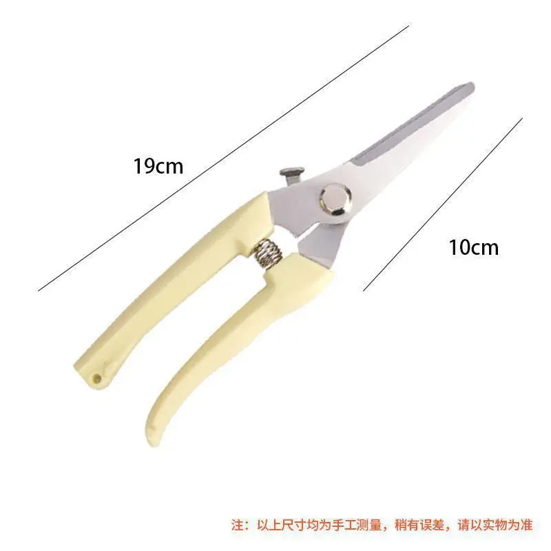 Stainless Steel Pruning Shears – Garden & Orchard Branch Cutter Pruning Shears Babs B