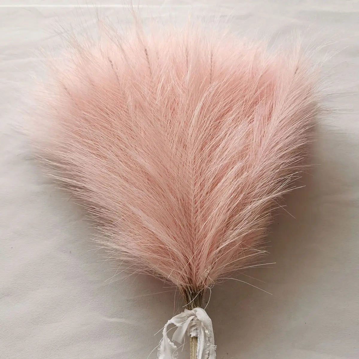 Artificial Pampas Grass Stems – Silk Reed for Wedding & Décor Artificial Pampas Grass Babs 5 5pcs