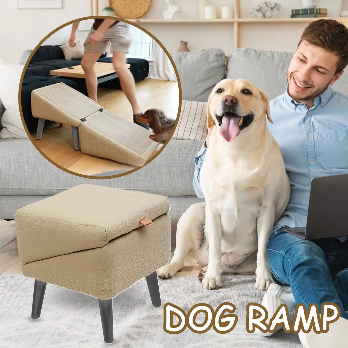 Foldable Dog Ramp & Stair | Anti-Slip Pet Ladder for Bed & Car Foldable Pet Ramp Babs