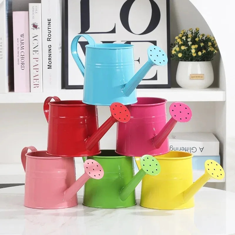 Metal Garden Watering Can – Extended Nozzle, Indoor & Outdoor Garden Watering Can Babs