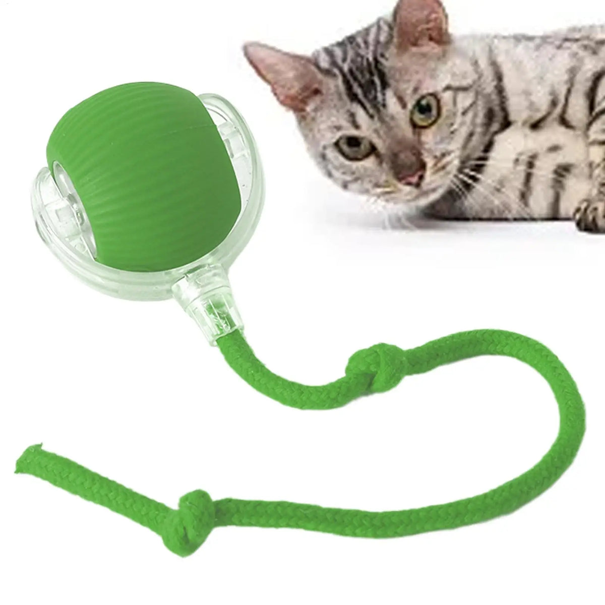 Automatic Rolling Interactive Cat Ball Toy – Rechargeable Interactive Cat Toy Babs