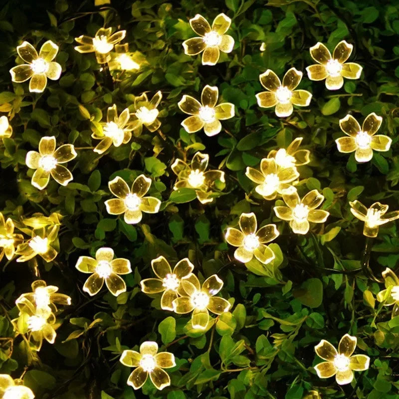 5M 20 LED Solar Cherry Flower String Lights | 8 Modes IP65 Solar String Lights Babs Warm White