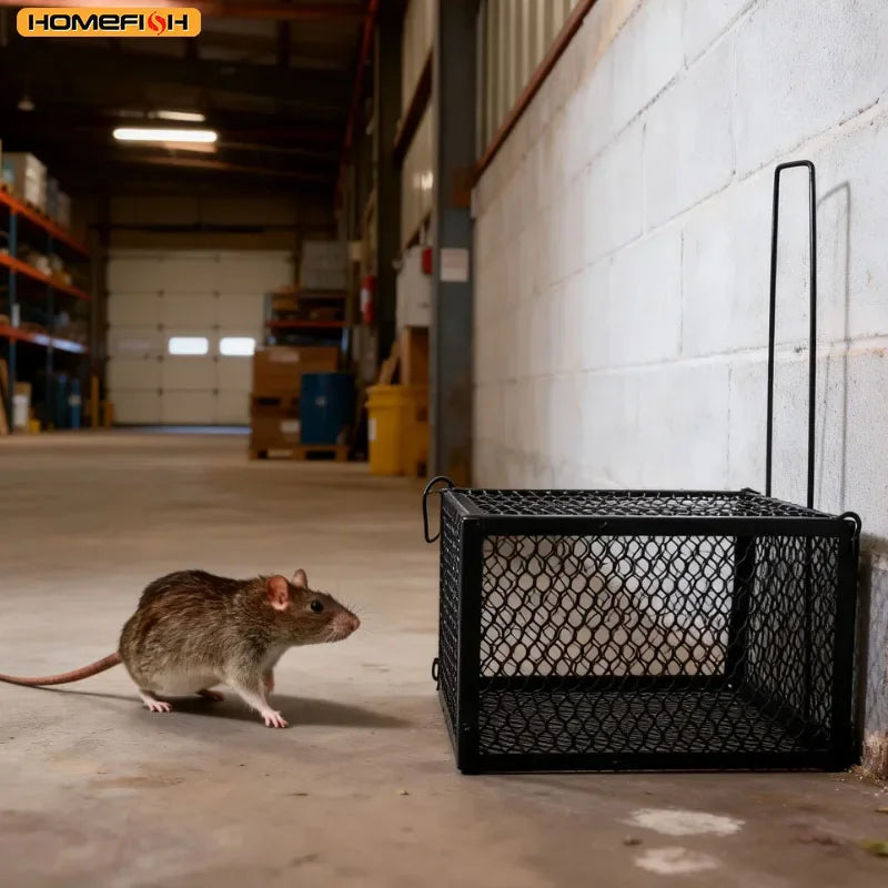 Humane Self-Locking Metal Mouse Trap – Reusable & Chemical-Free Humane Mouse Trap Babs