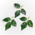 40/80 Pcs Silk Rose Leaves – Artificial Wedding & Home Decor Artificial Silk Leaves Babs 5 80 pcs