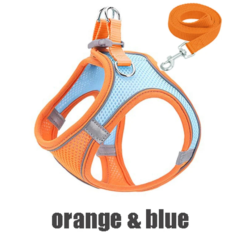 Reflective Dog Harness Vest with Leash | XXXS–L All Breeds Dog Harness Vest Babs orange blue XXS
