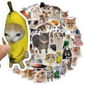 50/100PCS Cat Meme Stickers for Water Bottles & Skateboards DIY Sticker Pack Babs 100PCS