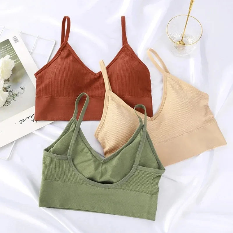 Seamless Women's Push Up Bra Bralette with Chest Pad Women's Bralette Babs