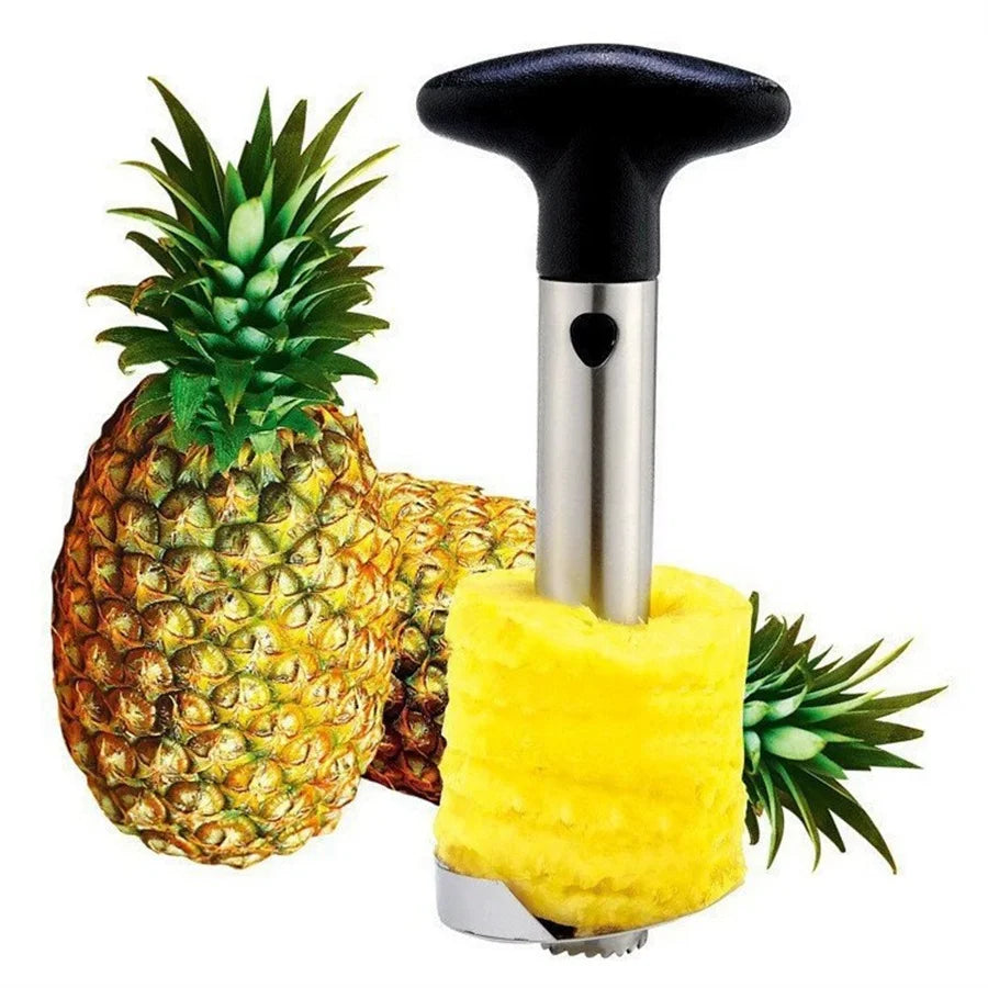 Stainless Steel Pineapple Peeler Cutter & Eye Remover Tool Fruit Peeler Tool Babs