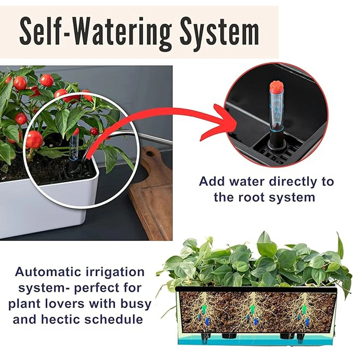 Self-Watering Planter Pot with Water Level Indicator – Indoor & Out Self-Watering Planter Babs