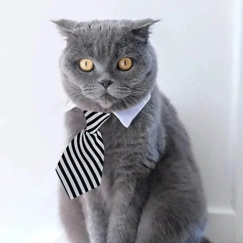 Adjustable Formal Suit Tie Collar for Small Dogs & Cats Pet Costume Tie Babs