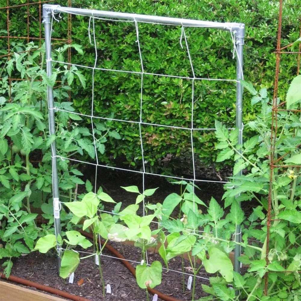 Garden Plant Trellis Netting – Square Mesh for Climbing Plants Garden Trellis Netting Babs
