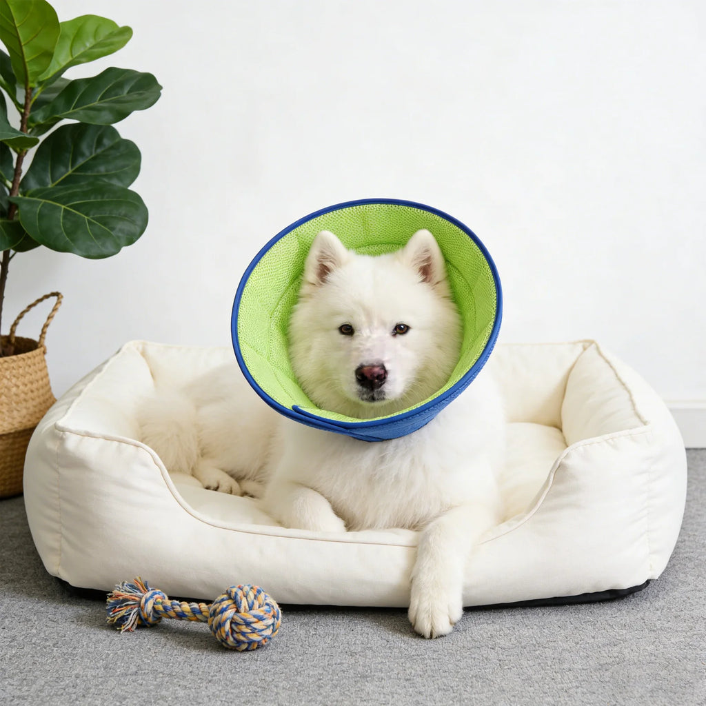 Soft Dog Recovery Cone Collar – All Sizes, Breathable Mesh Pet Recovery Collar Babs