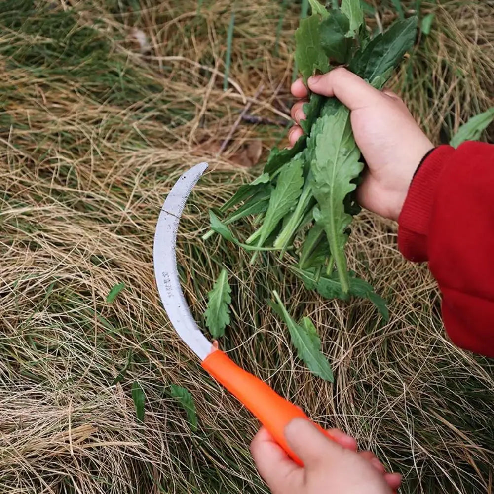 Stainless Steel Weeding Sickle Wooden Handle – Serrated Garden Tool Garden Weeding Sickle Babs
