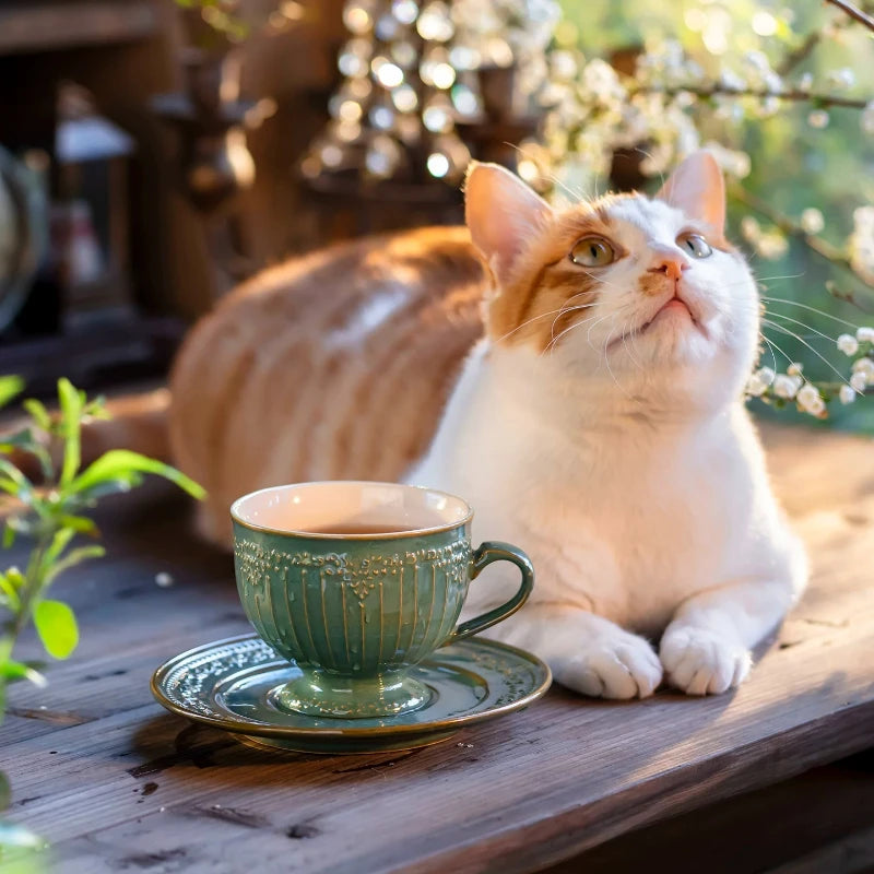 Vintage Embossed Ceramic Cup & Saucer Set | Underglaze Porcelain Ceramic Cup & Saucer Babs