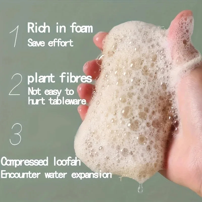 Natural Loofah Dishwashing Scrubbers 6/12 Pack | Eco Kitchen Cleaner Kitchen Scrubber Babs