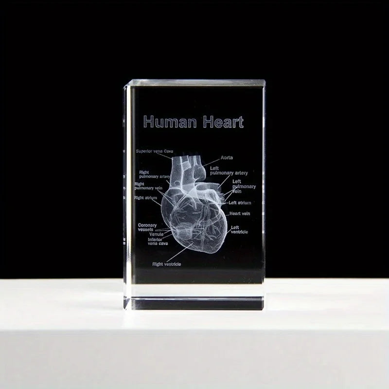 3D Laser Engraved Crystal Heart Cube – Anatomical Figurine Gift Crystal Figurine Babs