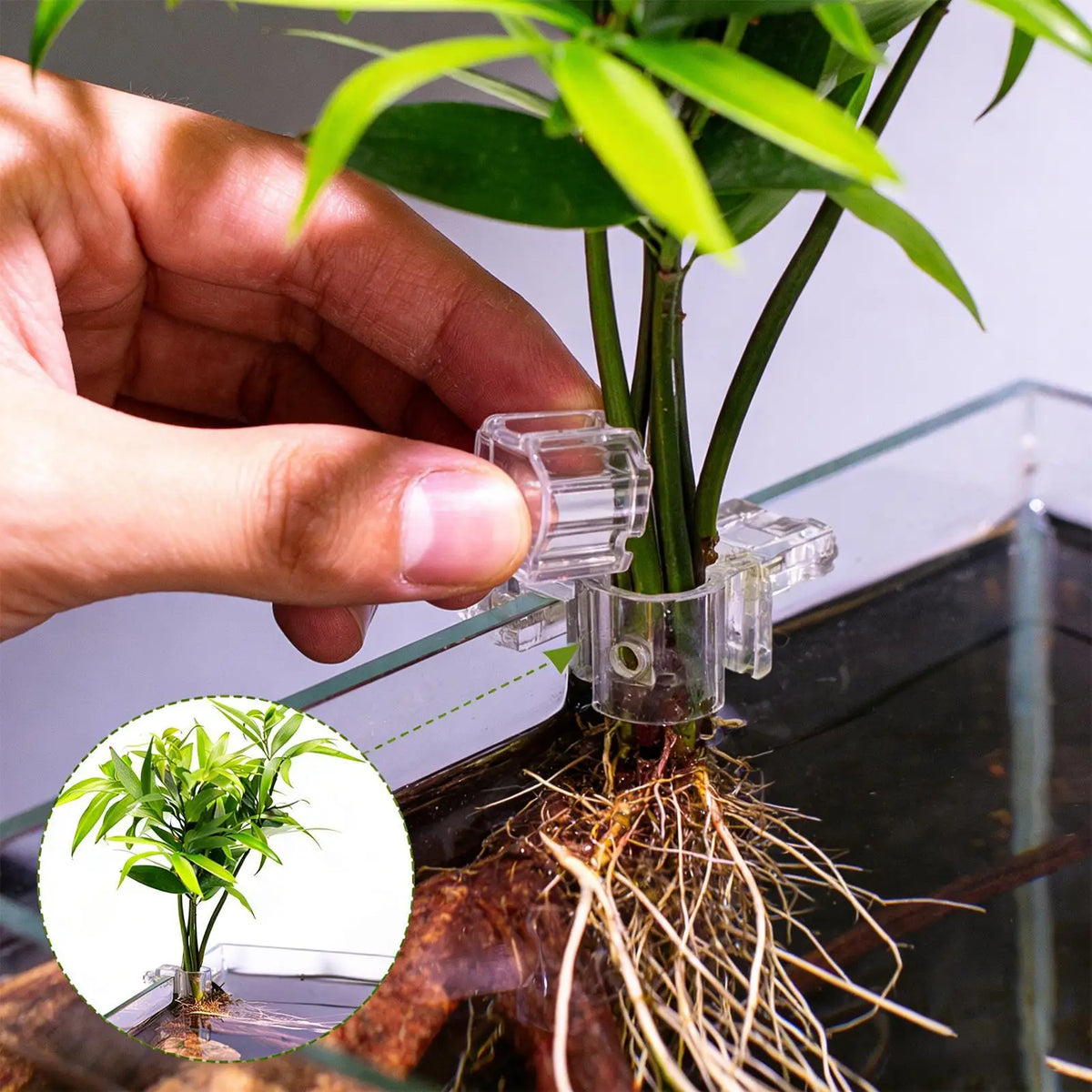 Aquarium Plant Holder Clips – Transparent PC Bracket, 6-Pack Aquarium Bracket Clips Babs