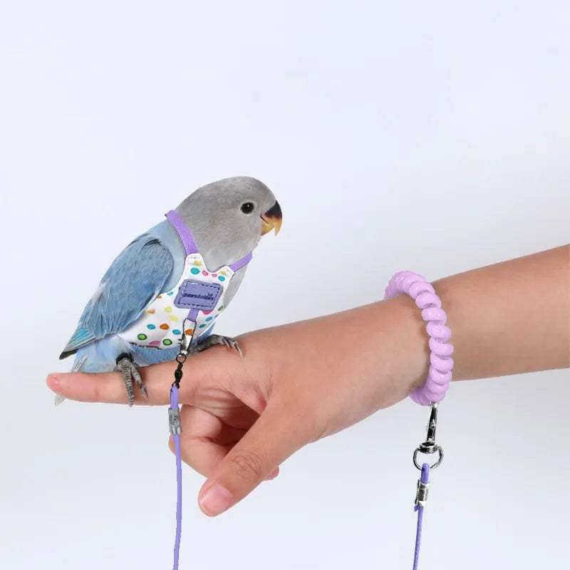 Parrot Flight Harness & Leash for Budgie & Lovebird Outdoor Bird Flight Harness Babs