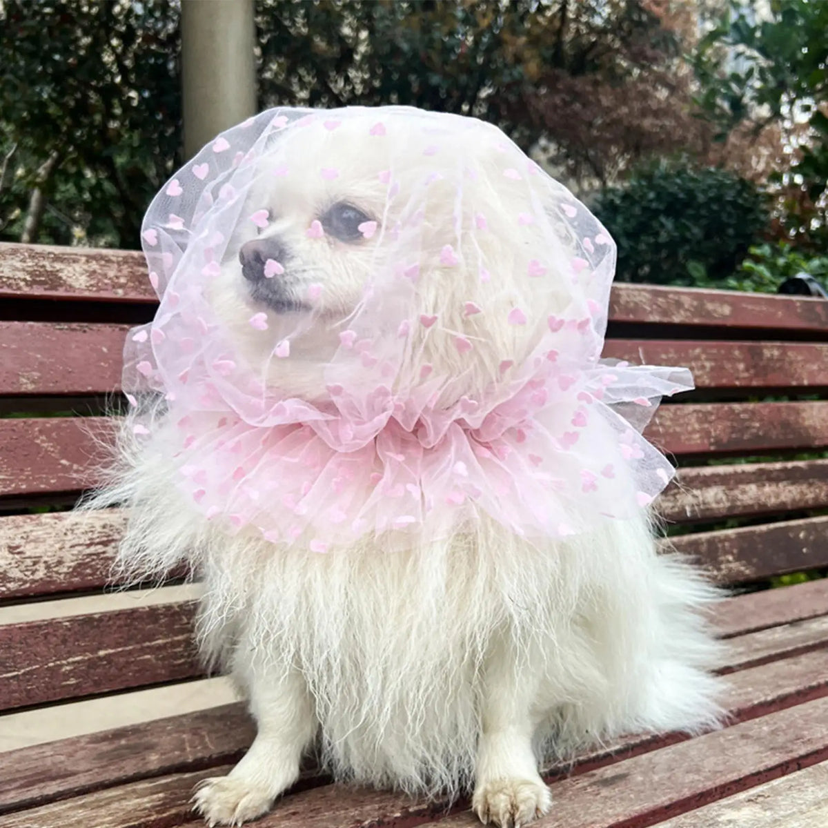 Breathable Dog Head Net Mask | Adjustable Anti-Scavenge Pet Veil Pet Protective Mask Babs