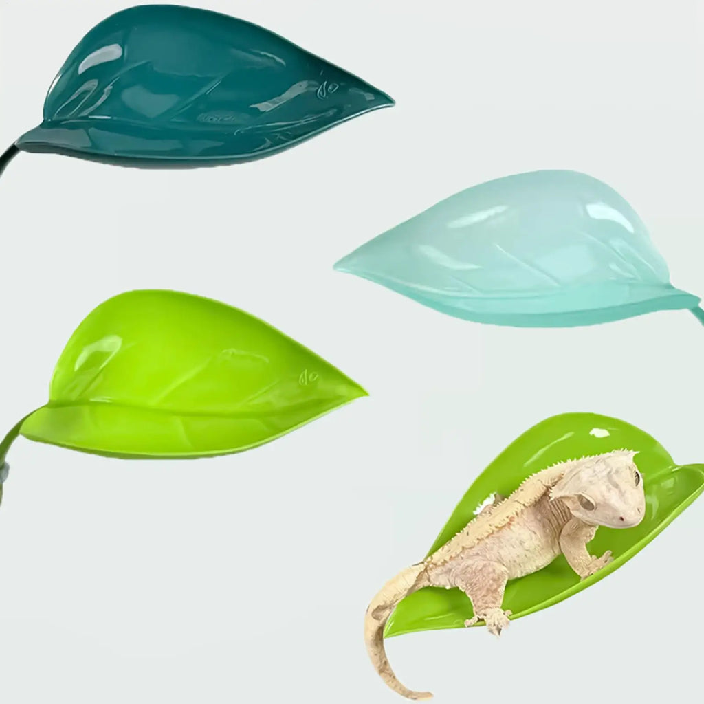 Suction Cup Terrarium Leaf Basking Platform for Reptiles Terrarium Basking Platform Babs