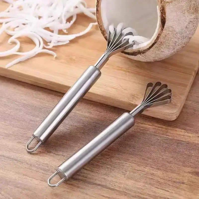 Stainless Steel Coconut Meat Scraper & Fish Scale Planer Coconut Scraper Tool Babs