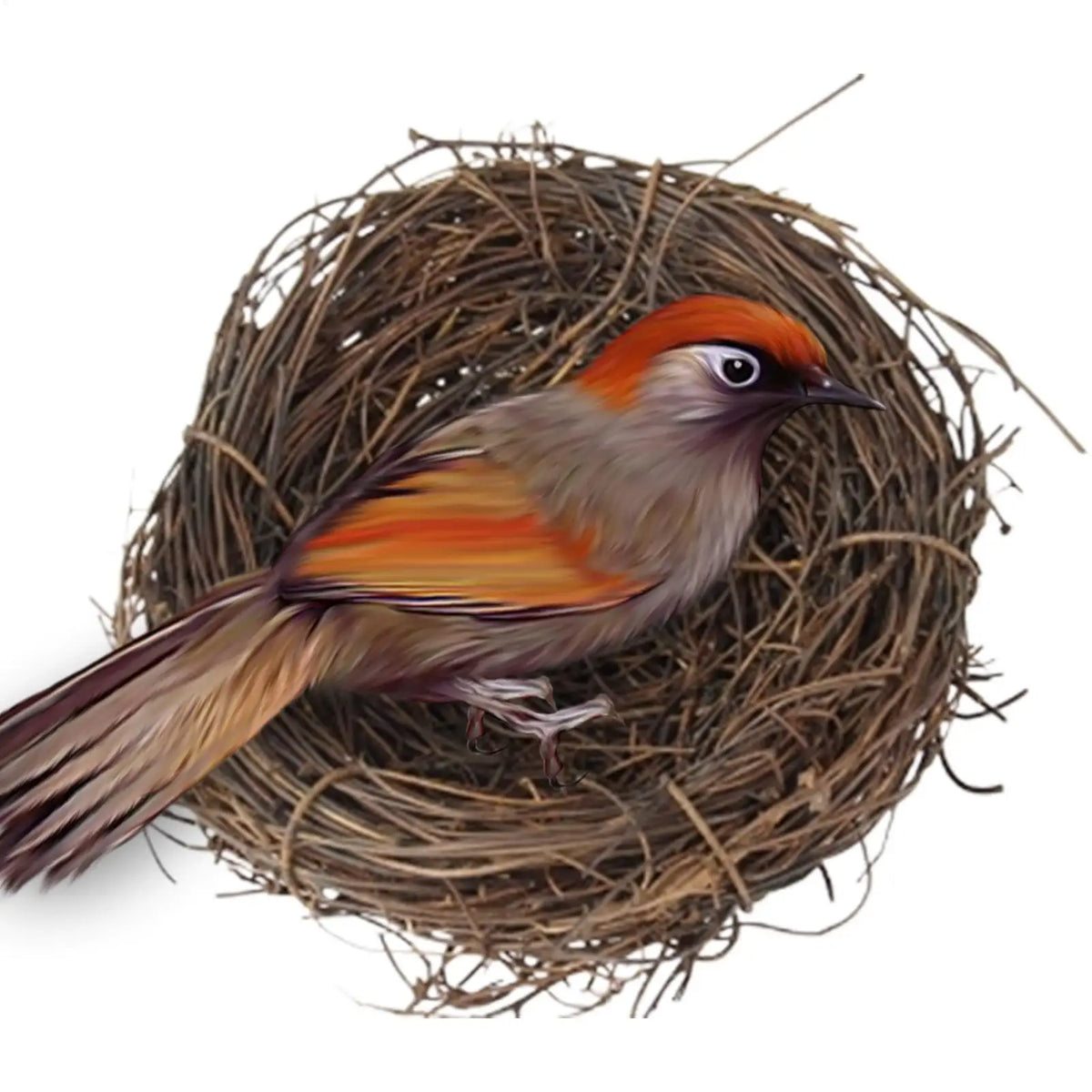 Handmade Rattan Bird Nest – Easter Decor & Pet Home Decorative Bird Nest Babs