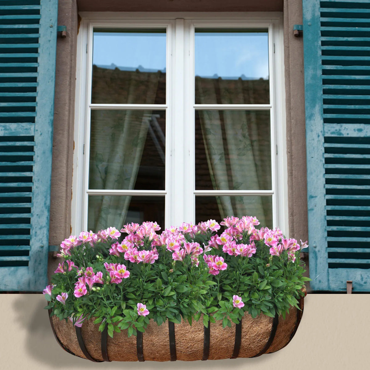 2-Pack Coconut Coir Hanging Basket Liners | Breathable Plant Pots Hanging Basket Liner Babs