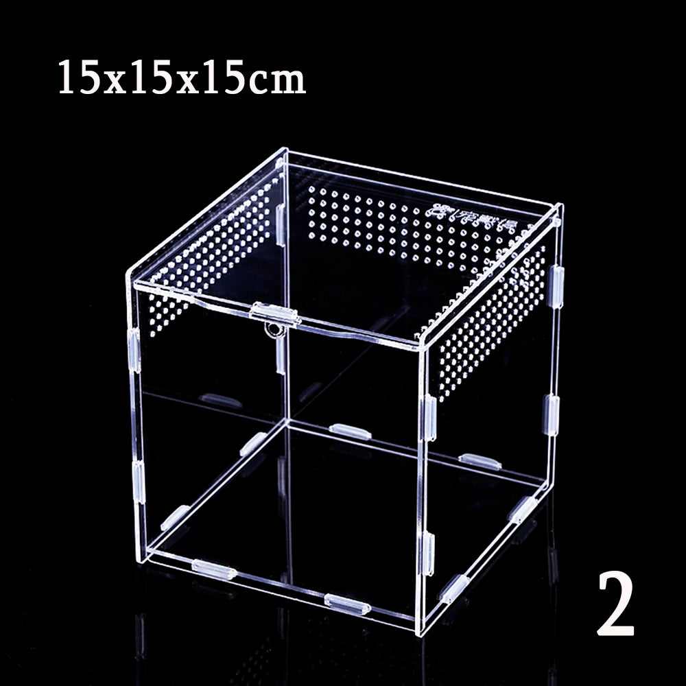 Acrylic Reptile Breeding Box – Snake, Lizard & Insect Terrarium Reptile Breeding Box Babs 15x15x15CM