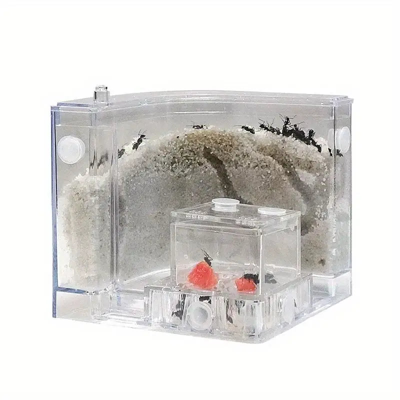 DIY Sand Acrylic Ant Farm with Feeding Area | Biology Toy Ant Farm Toy Babs