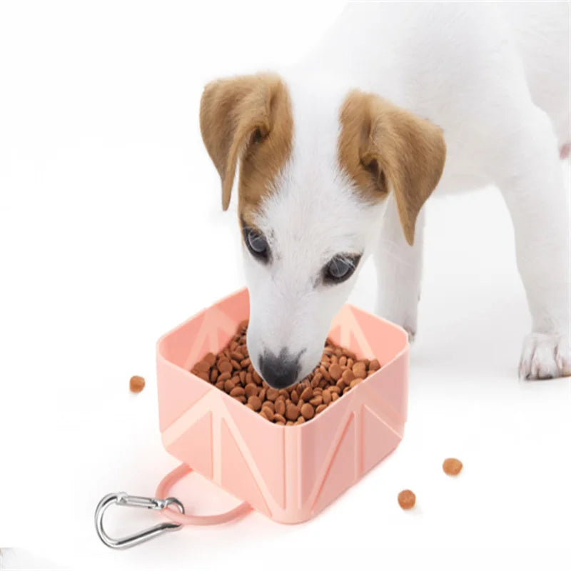 Foldable Pet Travel Bowl – Portable Dog & Cat Outdoor Bowl Pet Travel Bowl Babs