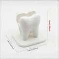 Tooth-Shaped Business Card Holder – Dental Desk Organizer Business Card Holder Babs White