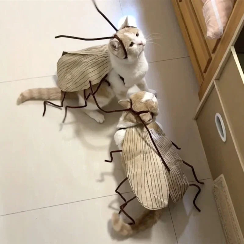 Funny DIY Cat Costume Kit – Cockroach & Spicy Pepper Outfit DIY Cat Costume Kit Babs