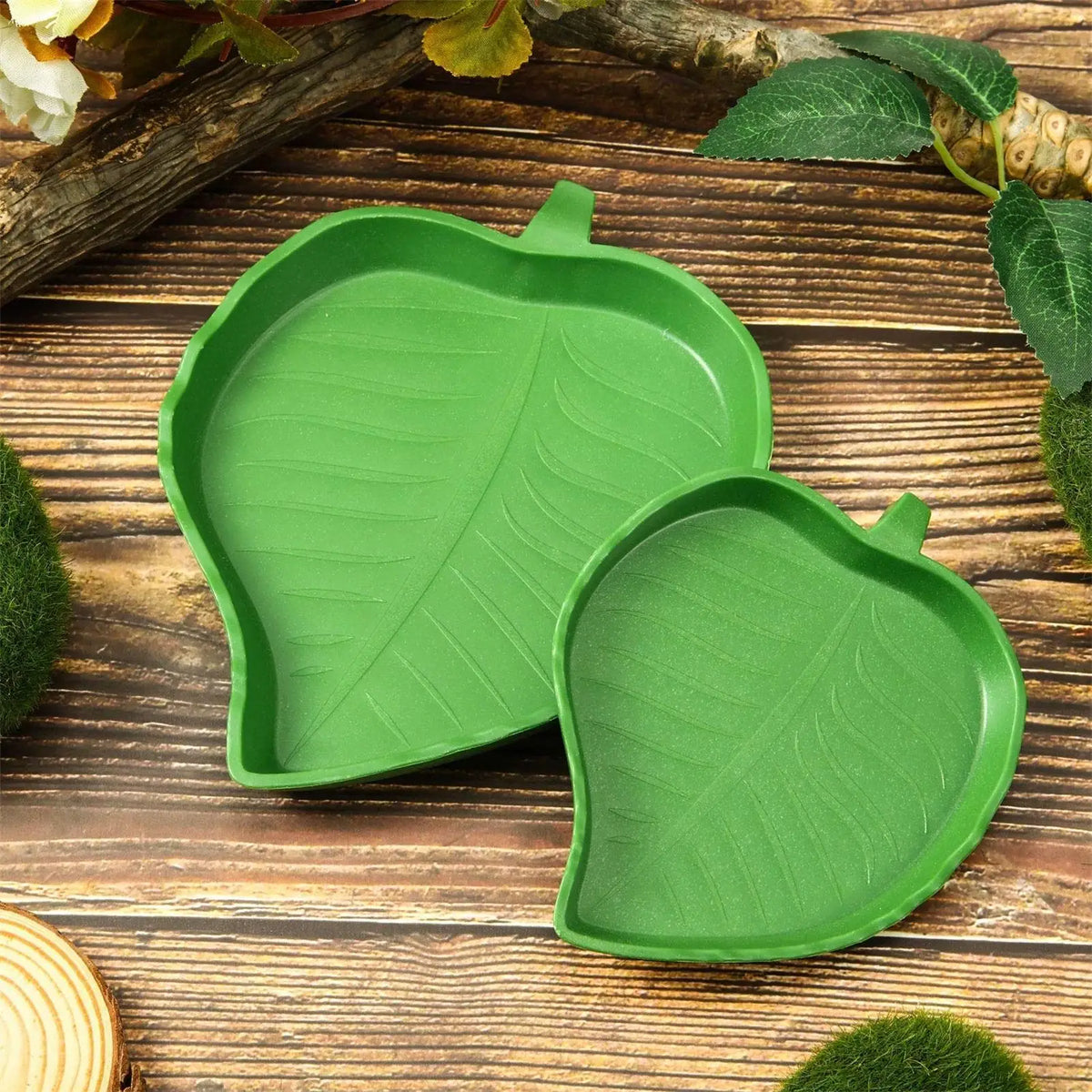 Leaf Shape Reptile Feeder Bowl | Turtle & Lizard Water Dish Reptile Feeder Bowl Babs