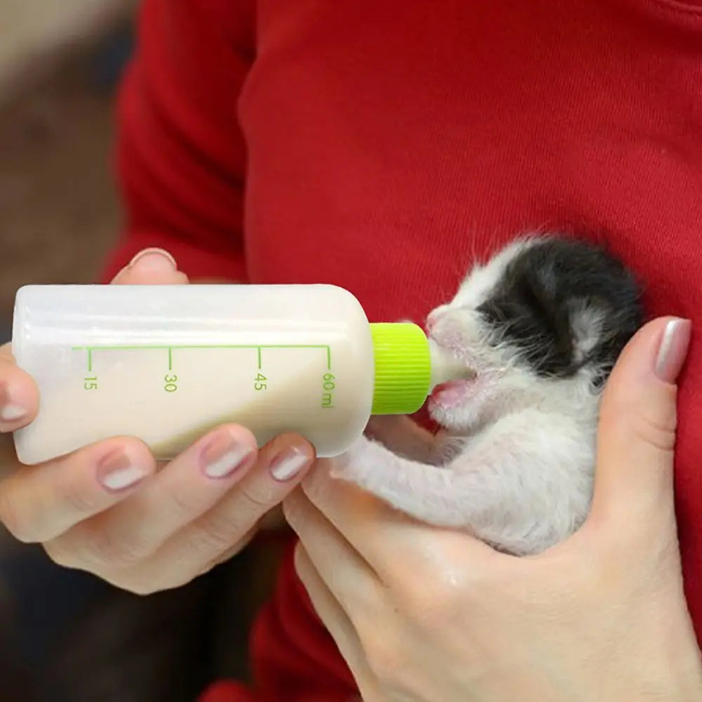 Pet Nursing Bottle Set for Puppies & Kittens – 60ml Kit Pet Nursing Bottle Babs