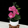 Artificial Phalaenopsis Orchid Bonsai Potted Plant – Home Décor Artificial Potted Plant Babs Purple Red
