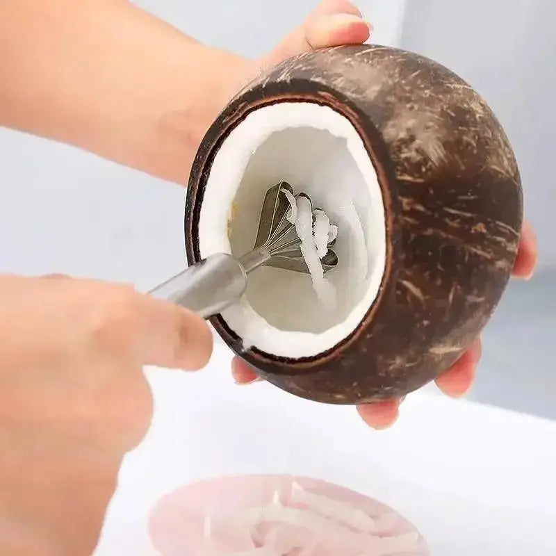 Stainless Steel Coconut Meat Scraper & Fish Scale Planer Coconut Scraper Tool Babs