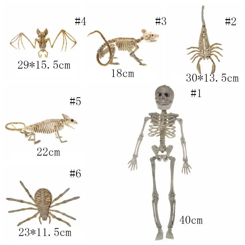 Halloween Skeleton Models – Bat, Lizard, Scorpion & Mouse Figures Halloween Skeleton Figure Babs