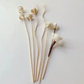 Flower Rattan Aromatherapy Diffuser Sticks 5/6 Pcs Home Decor Reed Diffuser Sticks Babs 6 Pcs