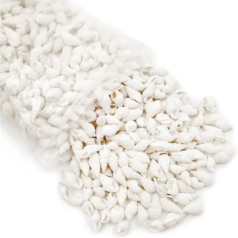 White Spiral Sea Shells 350pcs – Wedding, Decor & DIY Crafts Decorative Sea Shells Babs