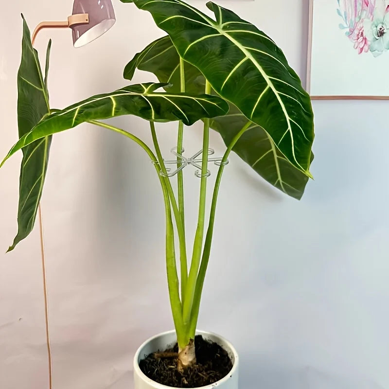 4-Piece Plant Stem Support Clips – Garden Branch Fixator Plant Support Clips Babs