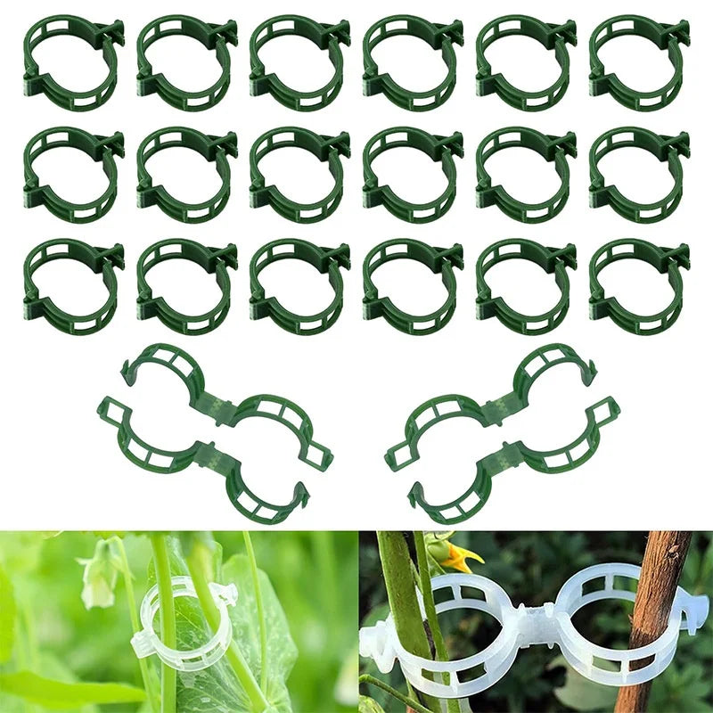 Plastic Plant Support Clips – Tomato & Vine Garden Clips Garden Plant Clips Babs