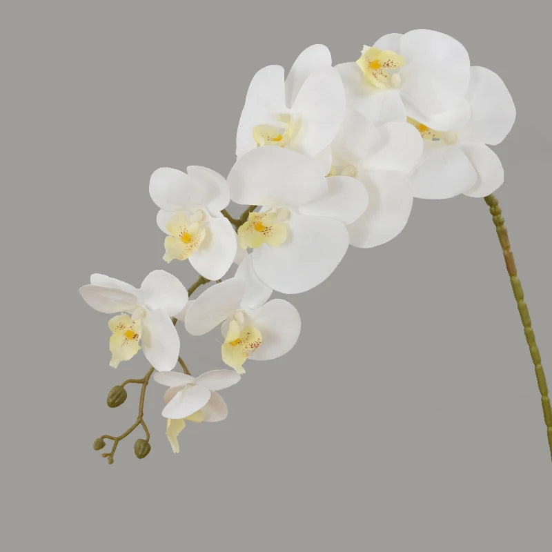 9-Head 100cm Artificial Moth Orchid Stem – Real Touch Fake Flowers Artificial Flower Stem Babs white