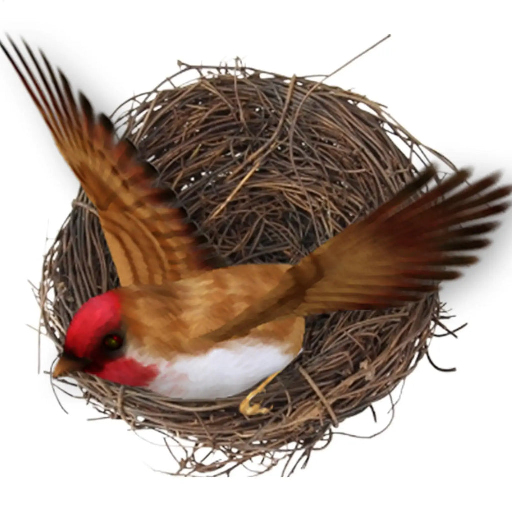 Handmade Rattan Bird Nest – Easter Decor & Pet Home Decorative Bird Nest Babs