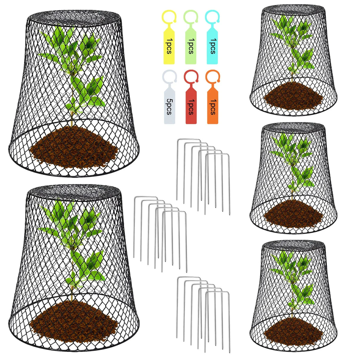 Chicken Wire Plant Cloches – Pest Guard Covers for Garden Garden Plant Cloche Babs 5pcs