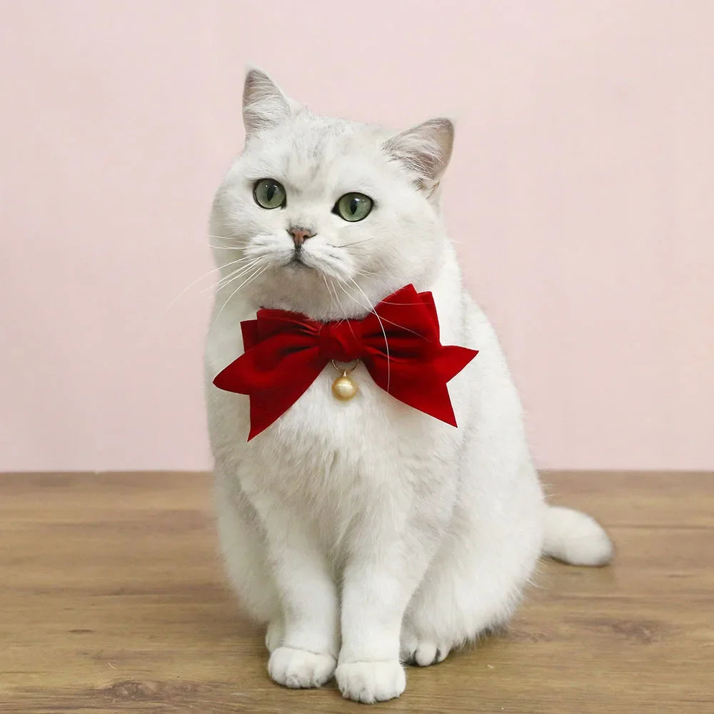Ribbon Bowtie Breakaway Collar for Cats, Kittens & Small Dogs Pet Bowtie Collar Babs