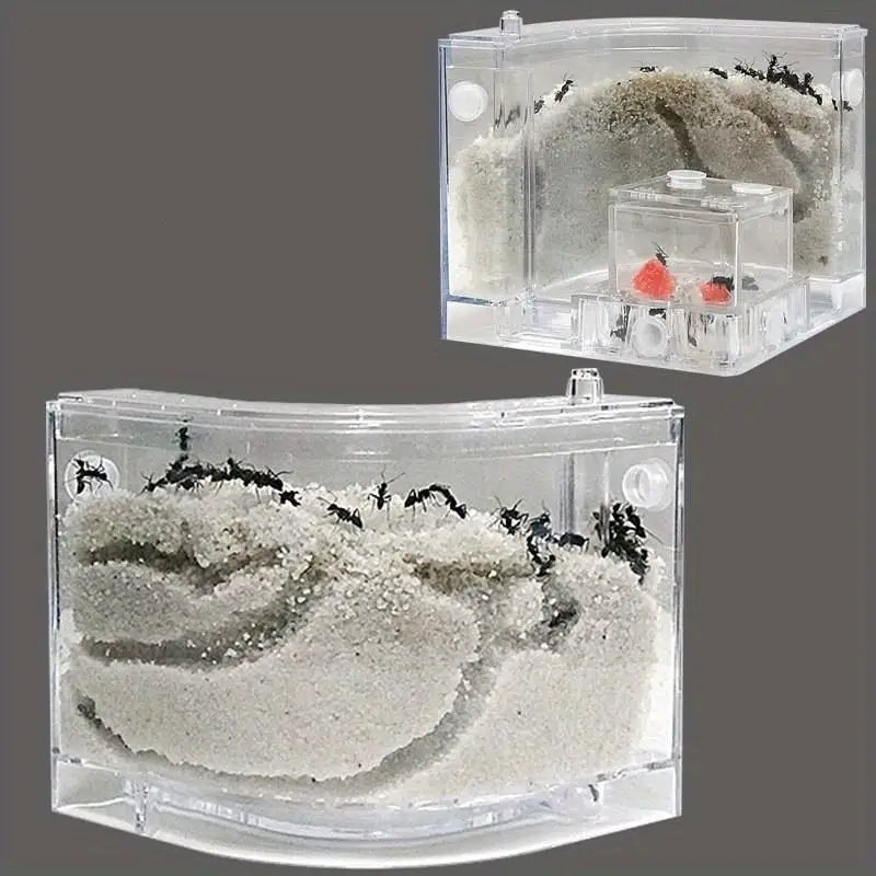 DIY Sand Acrylic Ant Farm with Feeding Area | Biology Toy Ant Farm Toy Babs