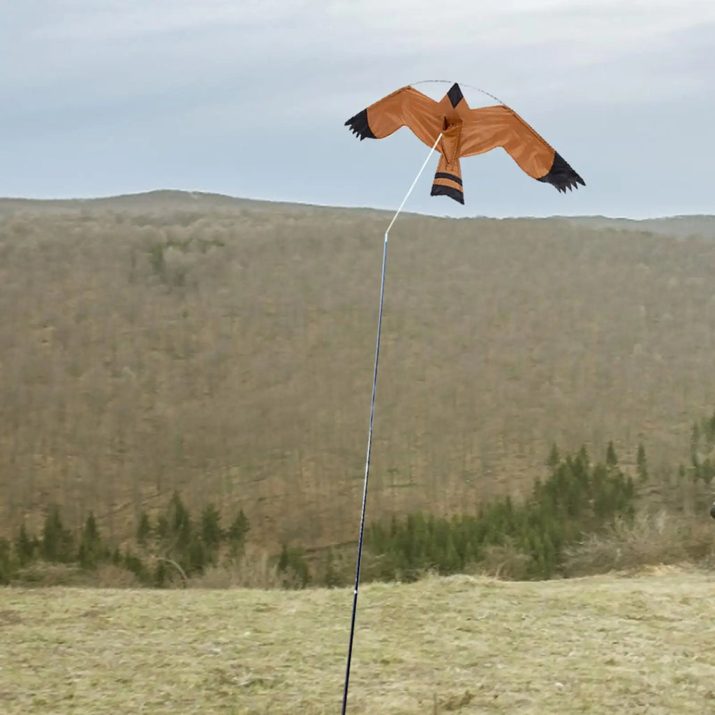 Eagle Kite Bird Scarer – Large Scarecrow Decoy for Farm & Garden Bird Scarer Kite Babs